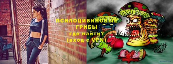 крисы Абдулино