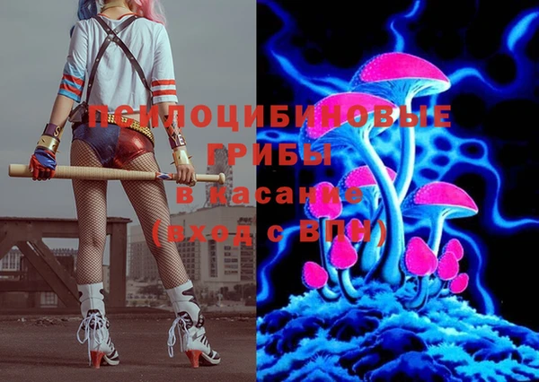 гашик Абинск