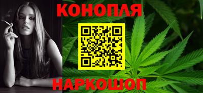шишки Партизанск