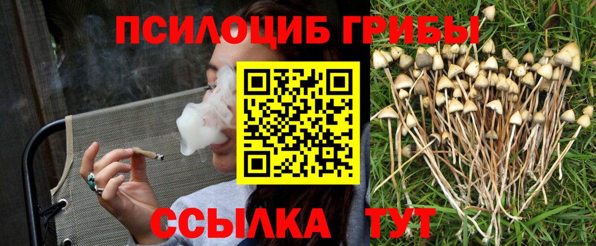 Псилоцибиновые грибы MAGIC MUSHROOMS  Вход с VPN  Псилоцибиновые грибы прущие грибы  Тутаев 